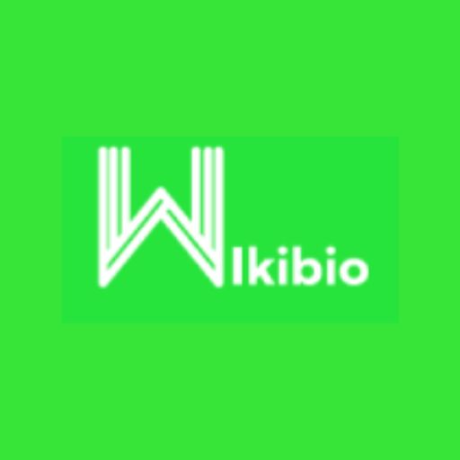 Adjunto wikibio.jpg